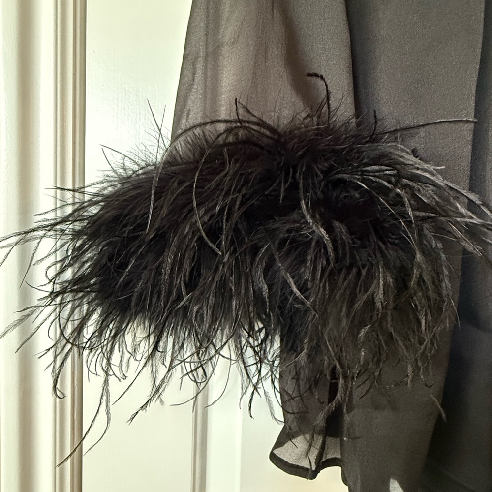 Anthropologie Hutch Long-Sleeve Turtleneck Faux-Feather Trim Sheer Mini Dress XS - Picture 9 of 12